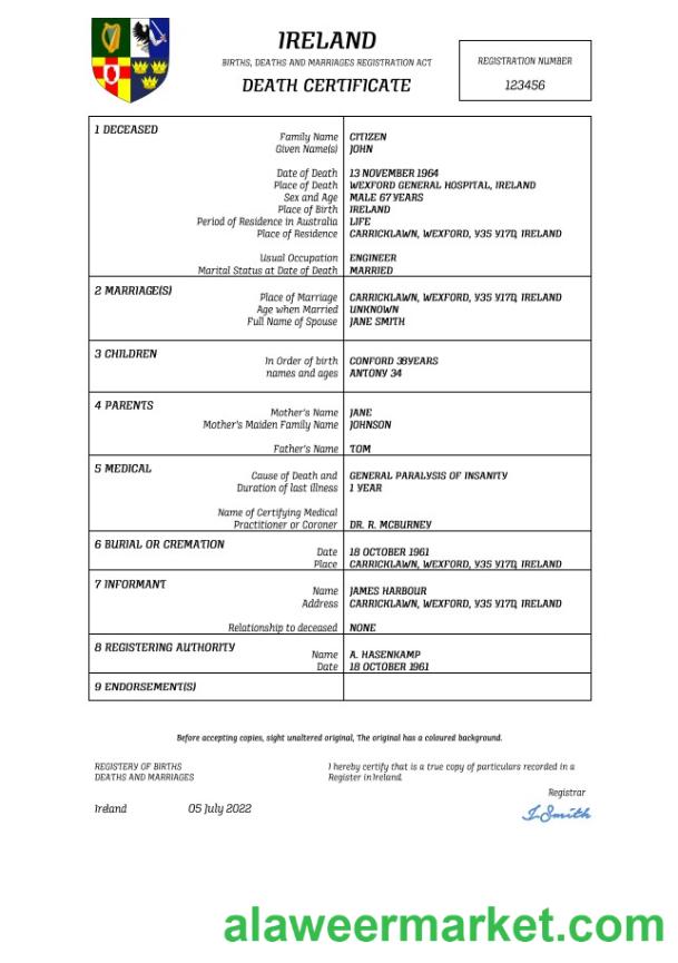 Ireland vital record death certificate Word and PDF template